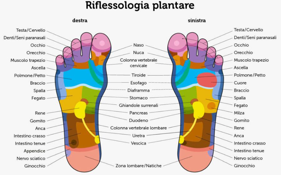 riflessologia plantare roma
